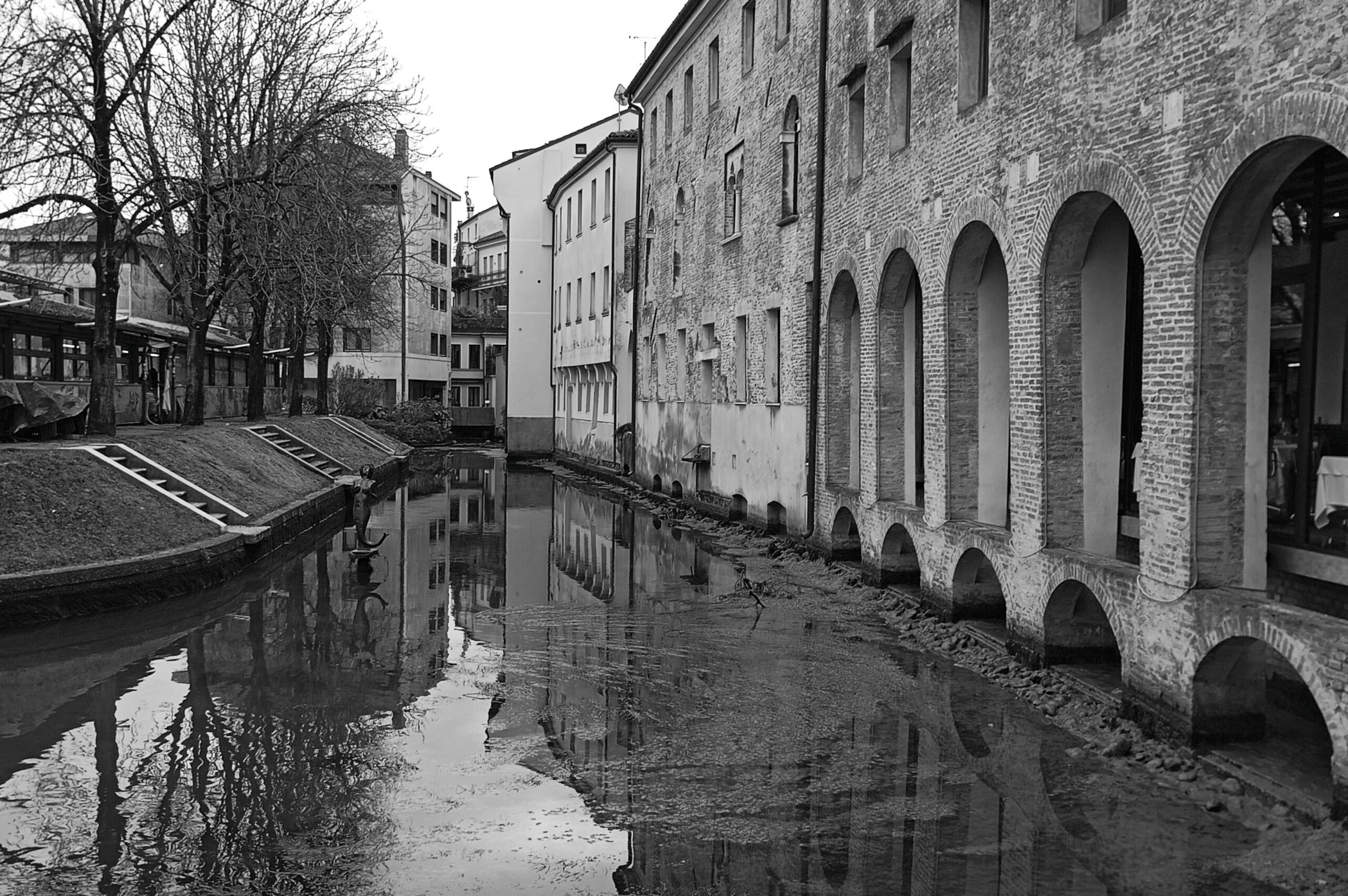 Veduta storica di Treviso, città di Bretelle & Braces